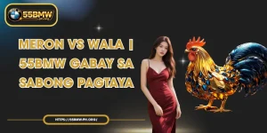 Meron vs Wala | 55BMW Gabay sa Sabong Pagtaya