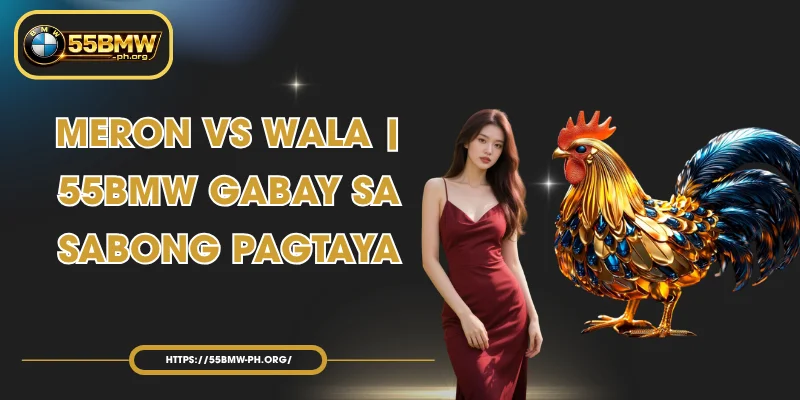 Meron vs Wala | 55BMW Gabay sa Sabong Pagtaya
